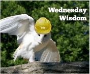 Wednesday Wisdom